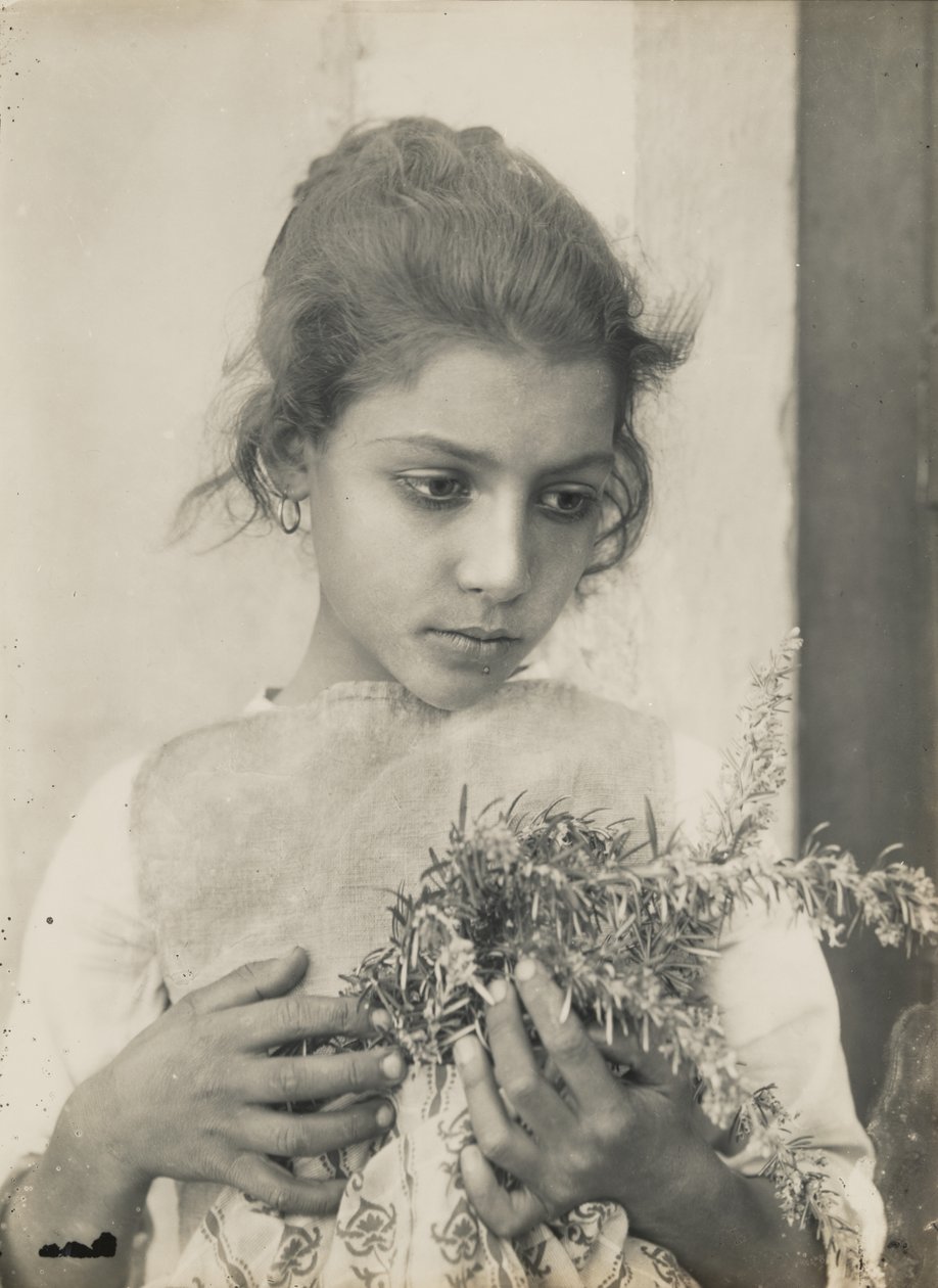 [Flicka med rosmarin] av Baron Wilhelm von Gloeden