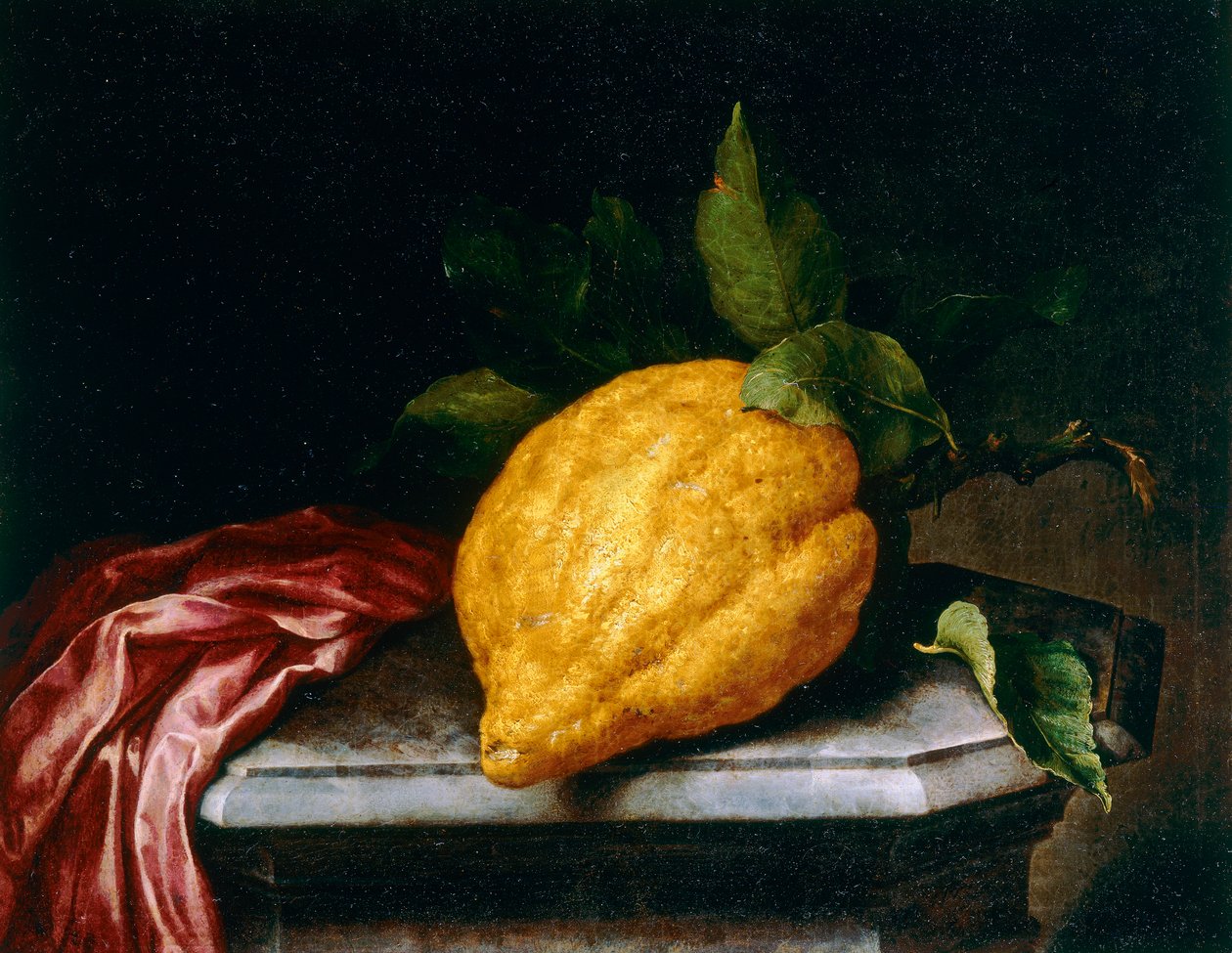 Citronswed av Bartolomeo Bimbi