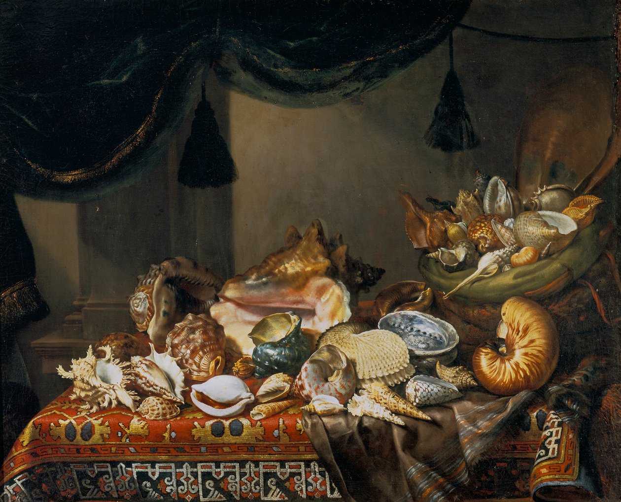 Stilleben med snäckor av Bartolomeo Bimbi