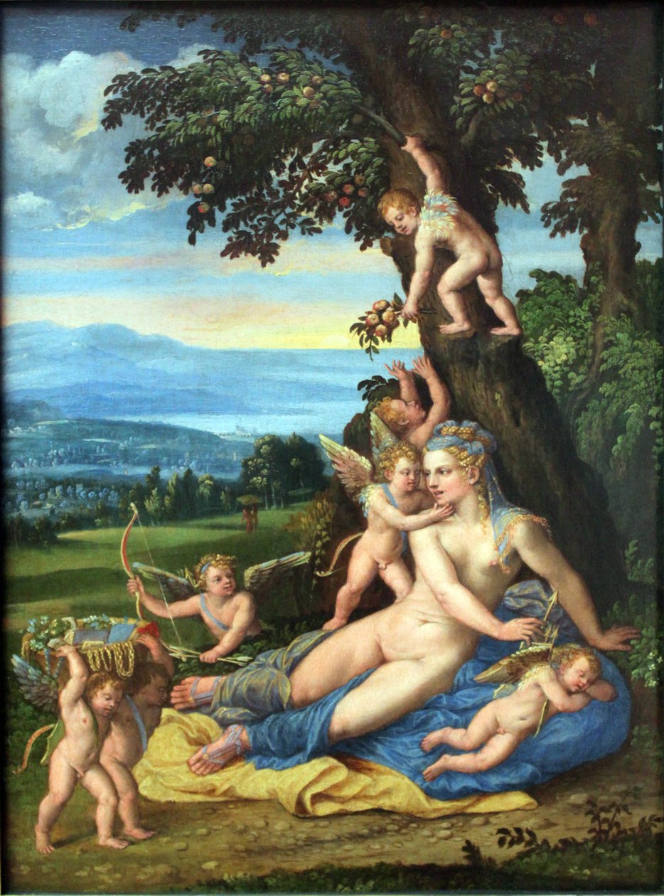 Venus och Amor av Battista Dossi