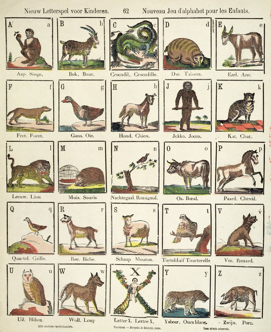 Fransk-flamländska alfabetet (färgad trästicksgravyr) av Belgian School