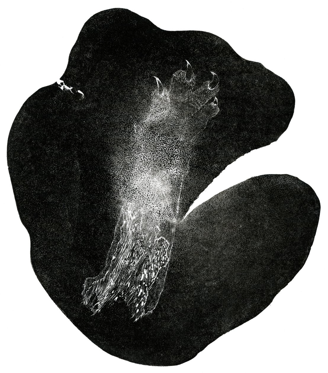 Clawfoot, 2014 (trägravyr på papper) av Bella Larsson