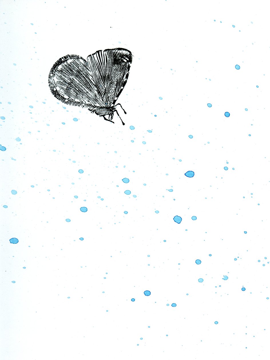 Moth {Fay-erie Dust}, 2014 (trägravyr och akvarell på papper) av Bella Larsson