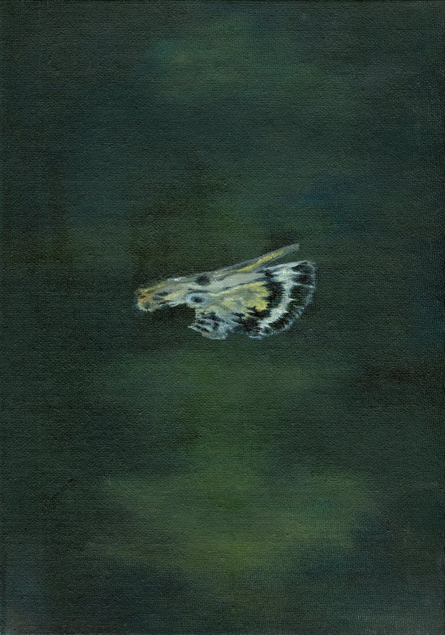 Moth Wing, 2014, av Bella Larsson