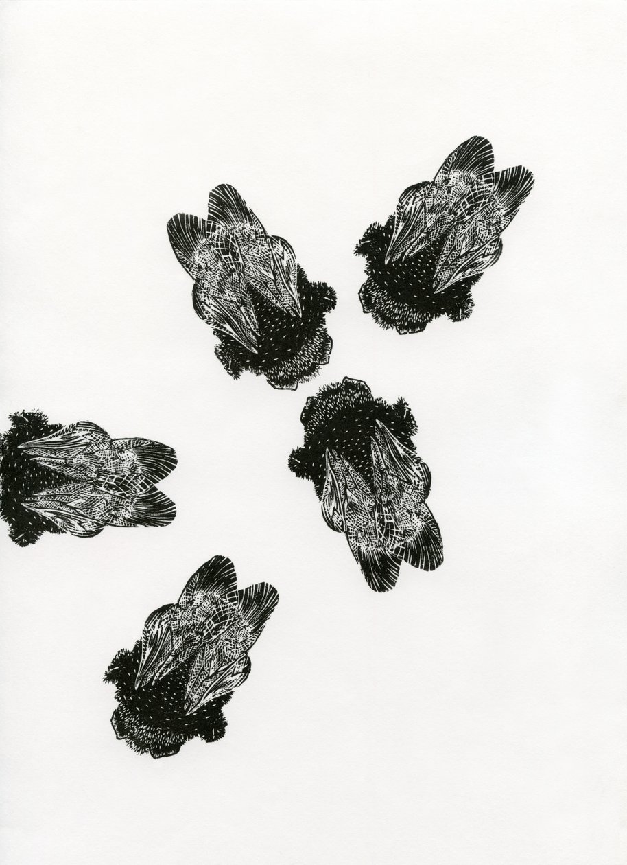 Humlors möte, 2013 (trägravyr på papper) av Bella Larsson