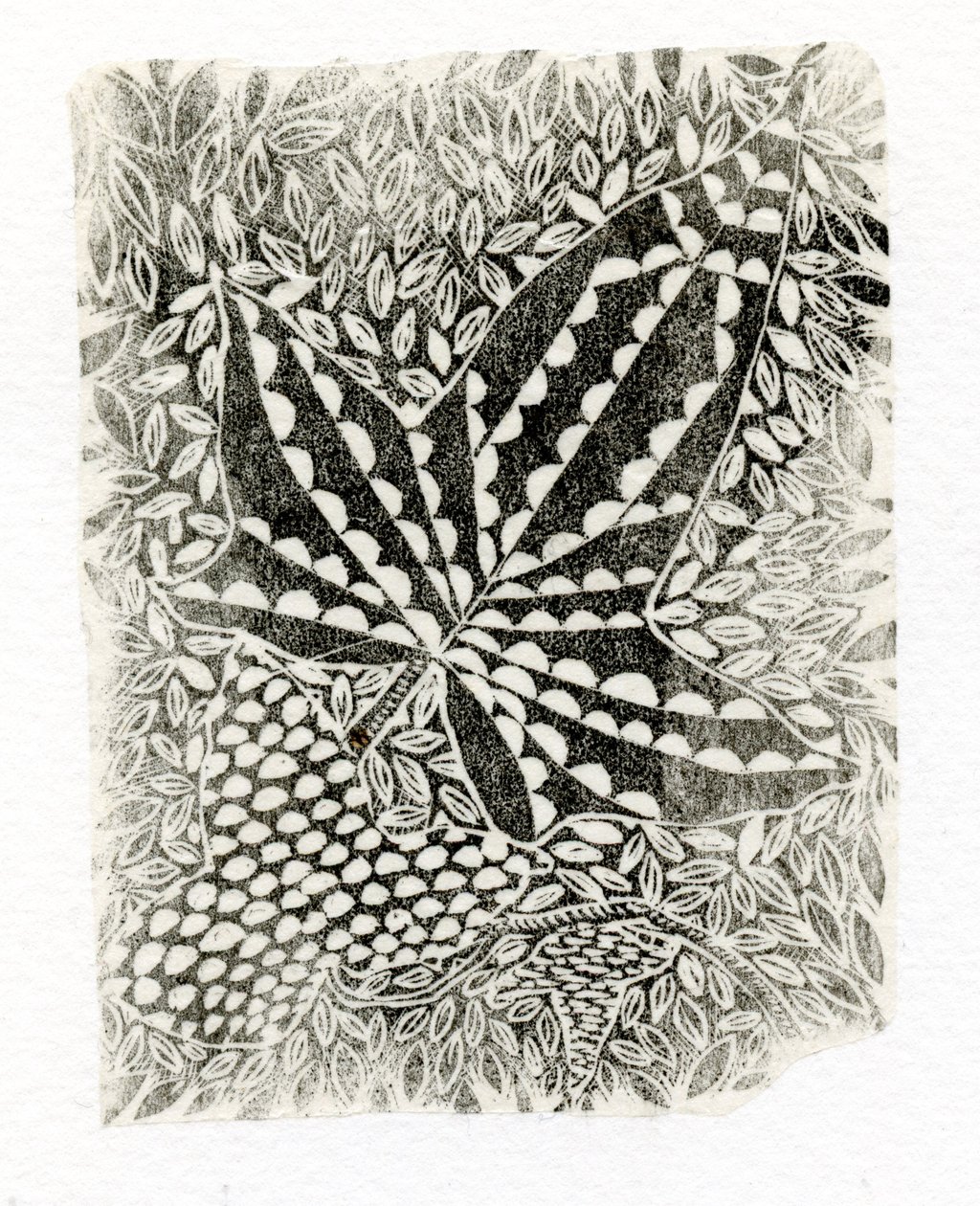 Ivy, 2014, (trägravyr på papper) av Bella Larsson