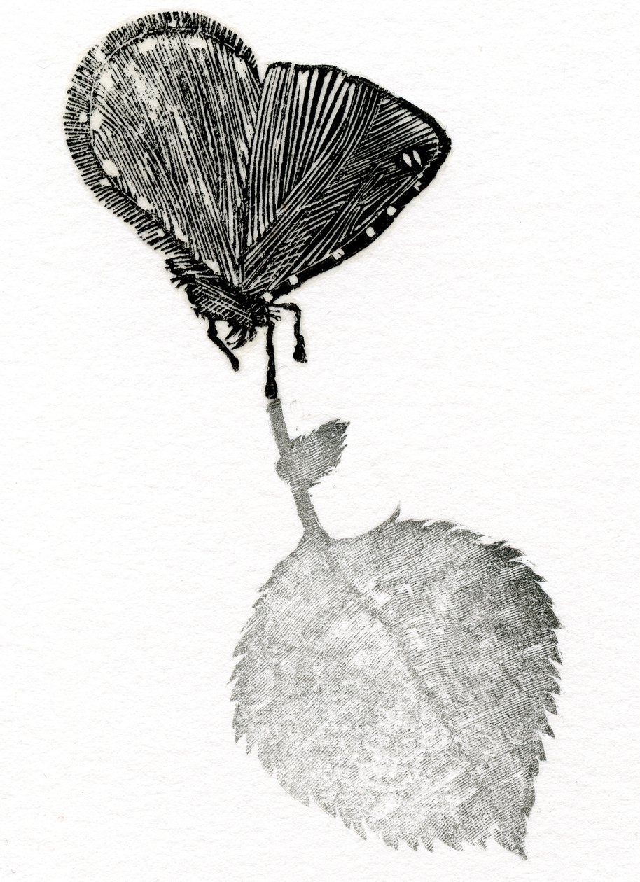 Spänning, 2014 (Trägravyr, collage på papper) av Bella Larsson