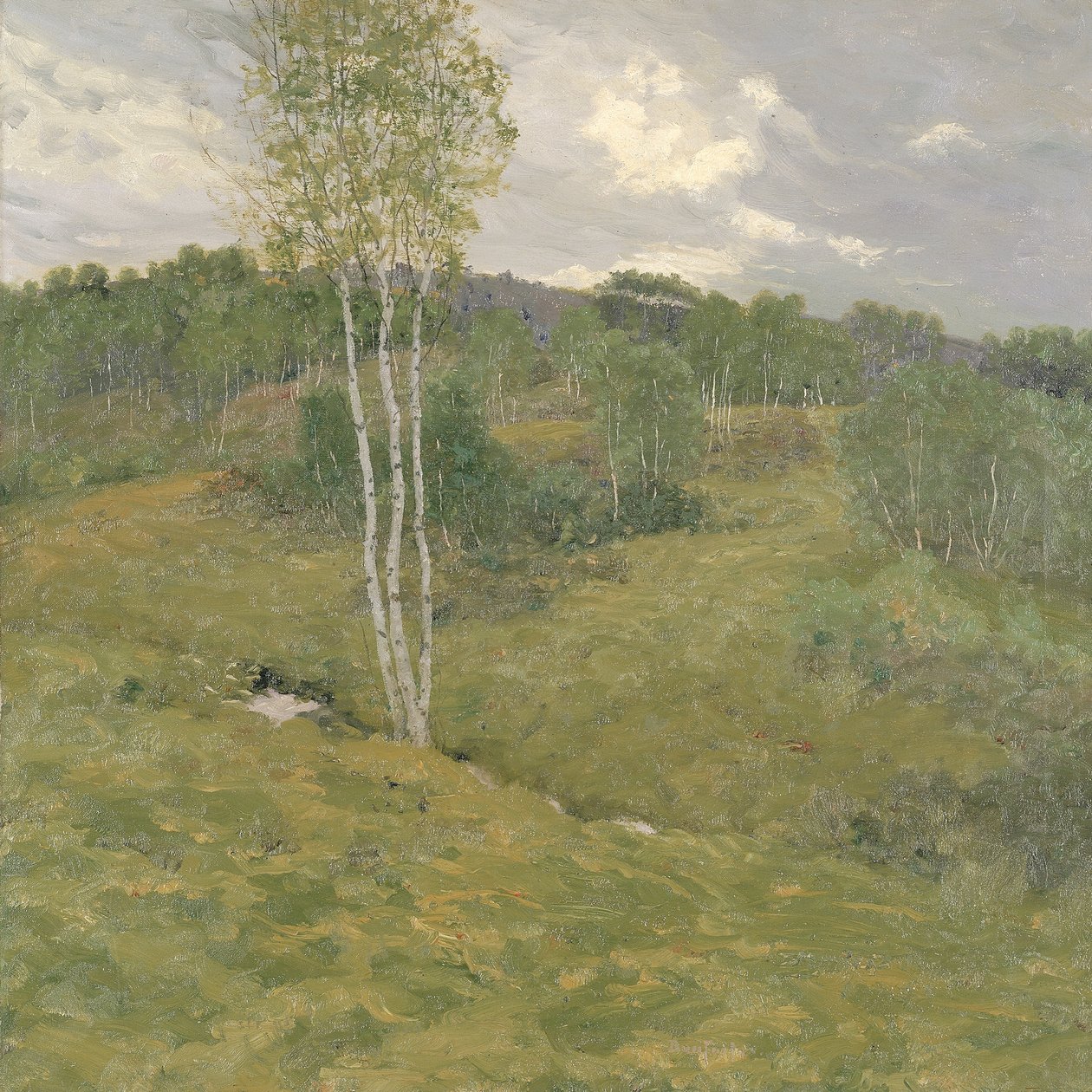 Björkklädda kullar, ca. 1908. av Ben Foster