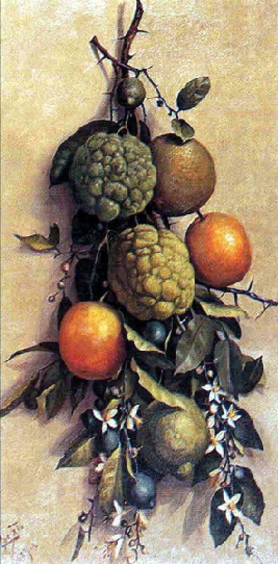  FruitnPortugues: Frutasn av Benedito Calixto