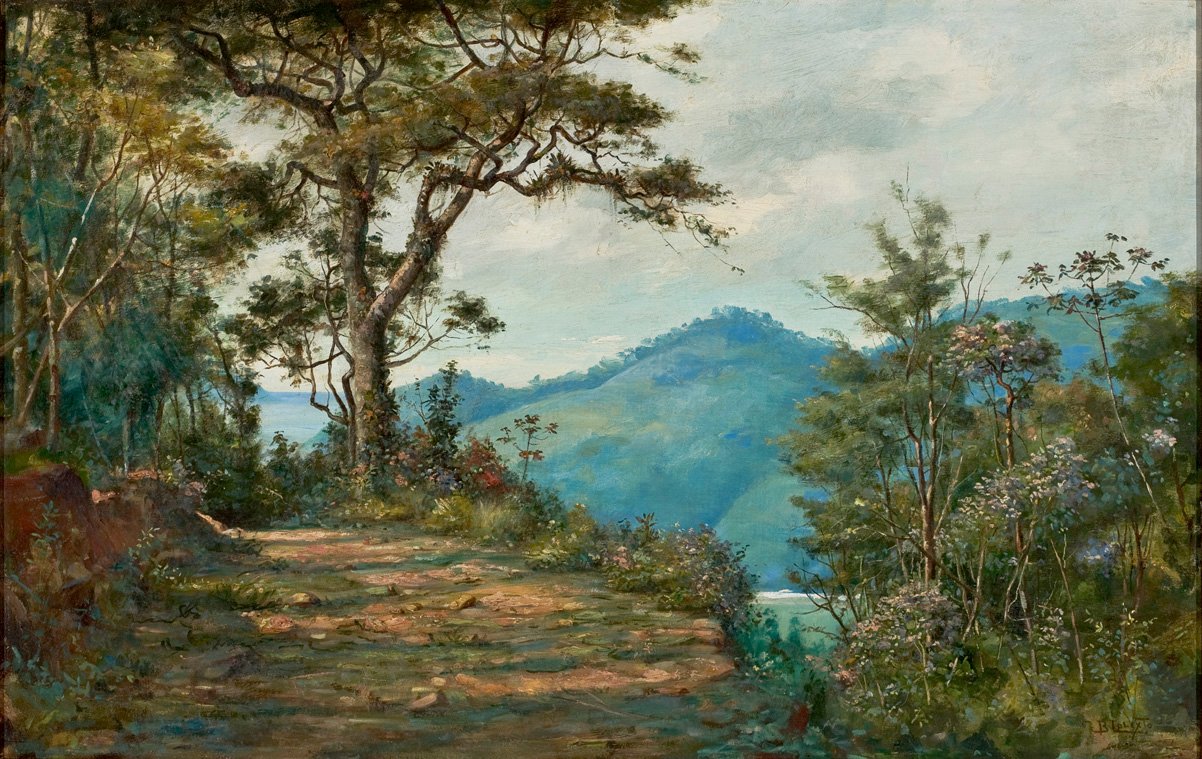  LandscapenPortugues: Paisagem da serie Matan av Benedito Calixto
