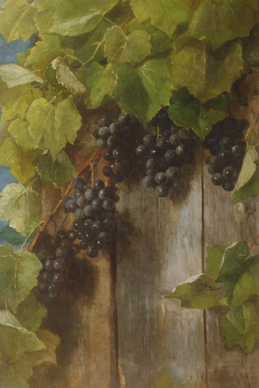 En fruktbärande vinstock, 1889 av Benjamin Champney