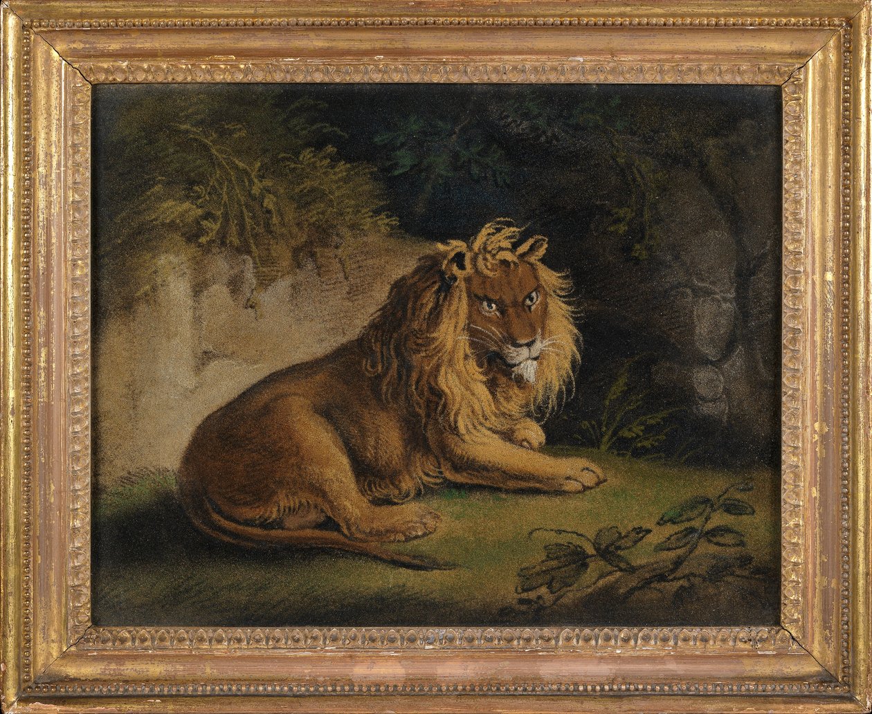 Ett lejon i ett djungellandskap (sandbild ombord) av Benjamin Zobel