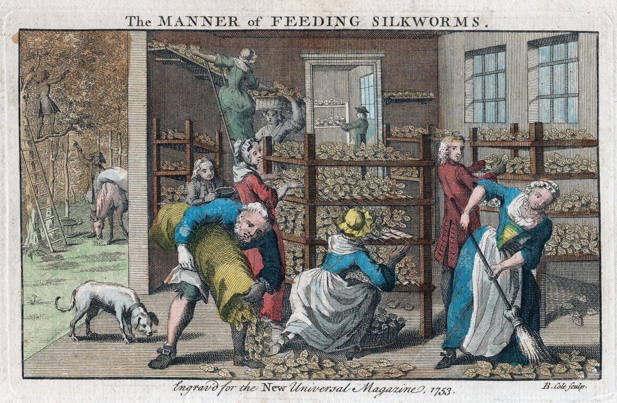 Sättet att mata silkesmaskar, 1753 av Benjamin Cole
