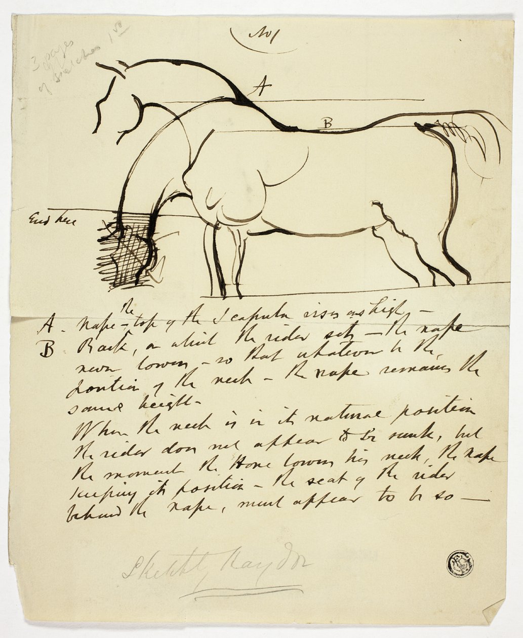 Skiss av häst med notationer av Benjamin Robert Haydon