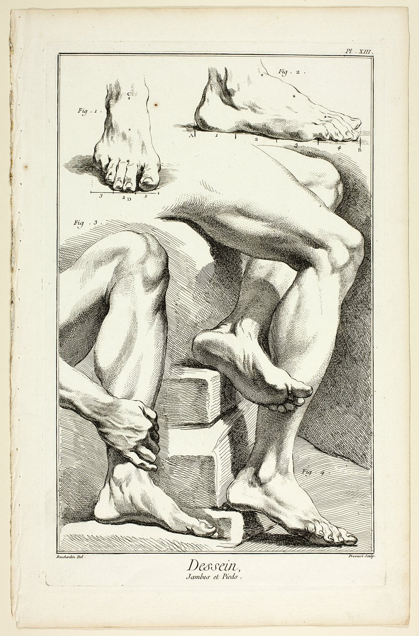 Design: Ben och fötter, från Encyclopédie av Benoit Louis Prevost