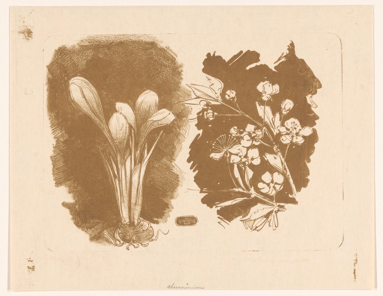 Krokusar och en gren med blomning av Bernard Willem Wierink