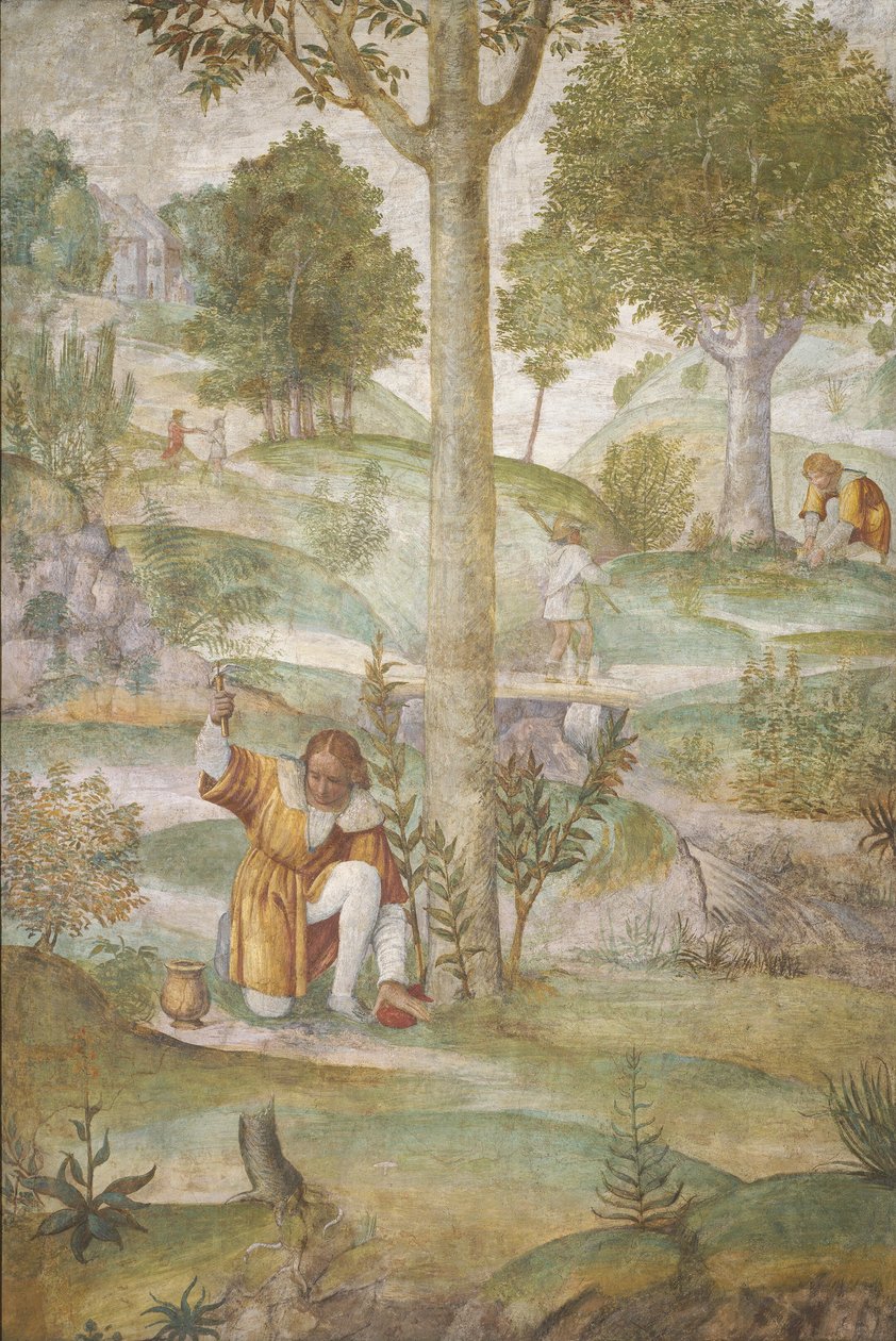Cephalus gömmer juvelerna av Bernardino Luini
