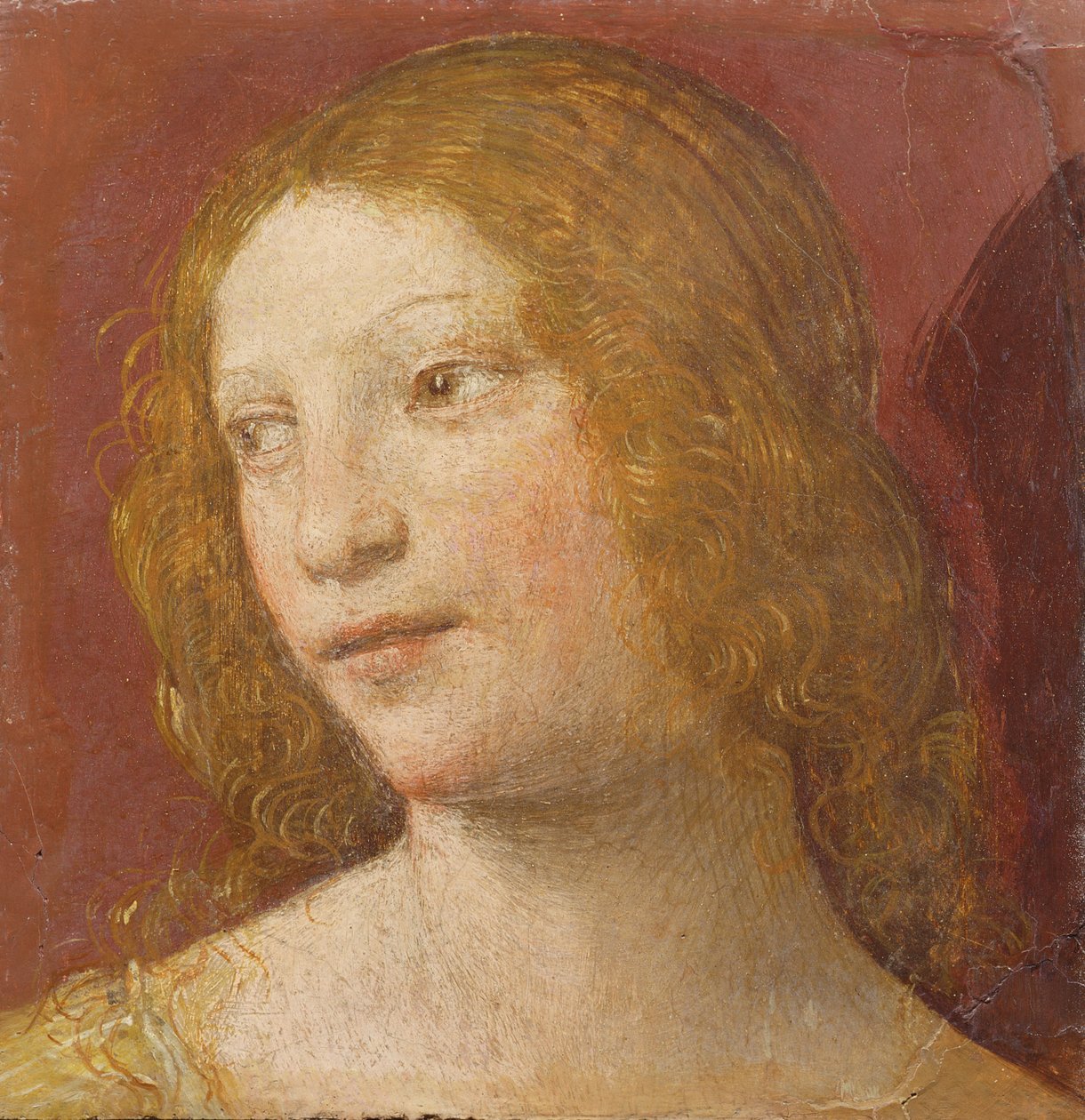 Chef för en ung kvinna av Bernardino Luini
