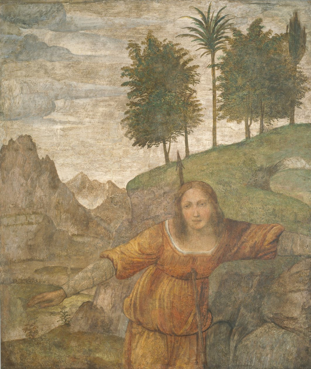 Procris genomborrad av Cephalus