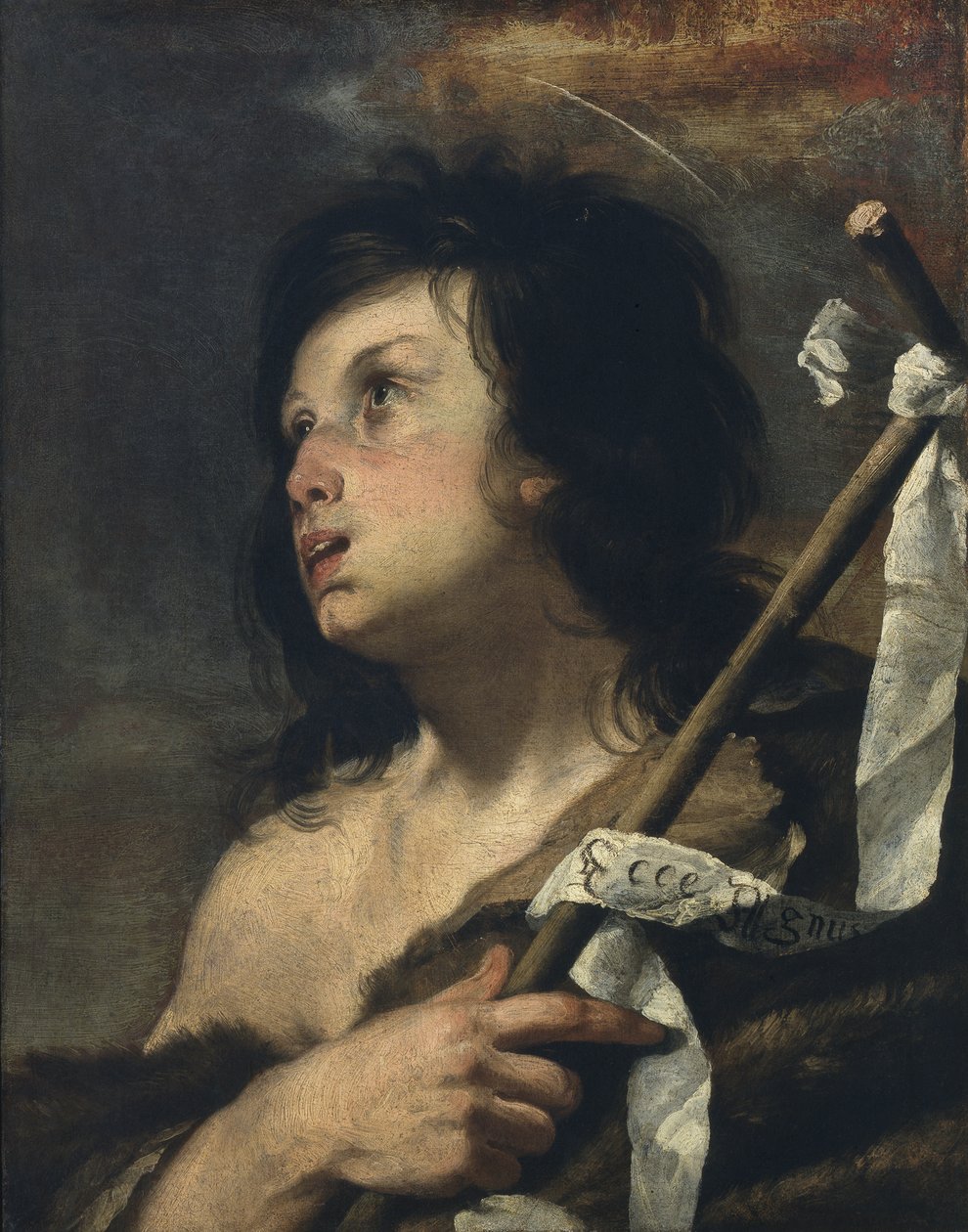 Den unge Johannes Döparen av Bernardo Strozzi