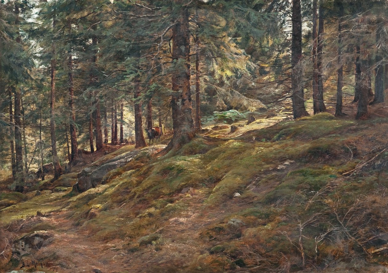 Ljus i skogen av Berndt Lindholm