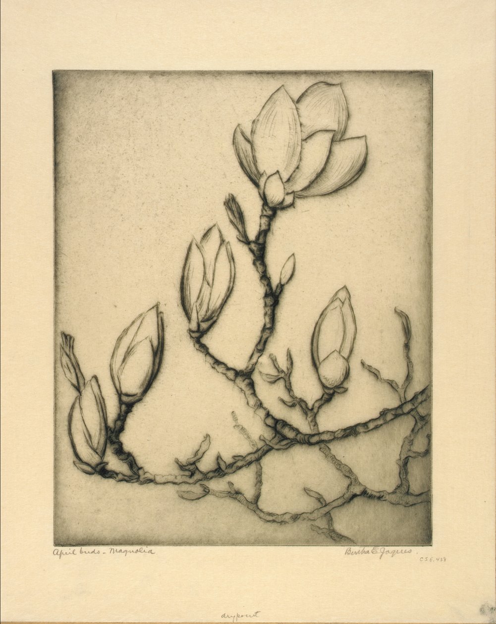 Aprilknoppar--Magnolia av Bertha E. Jaques