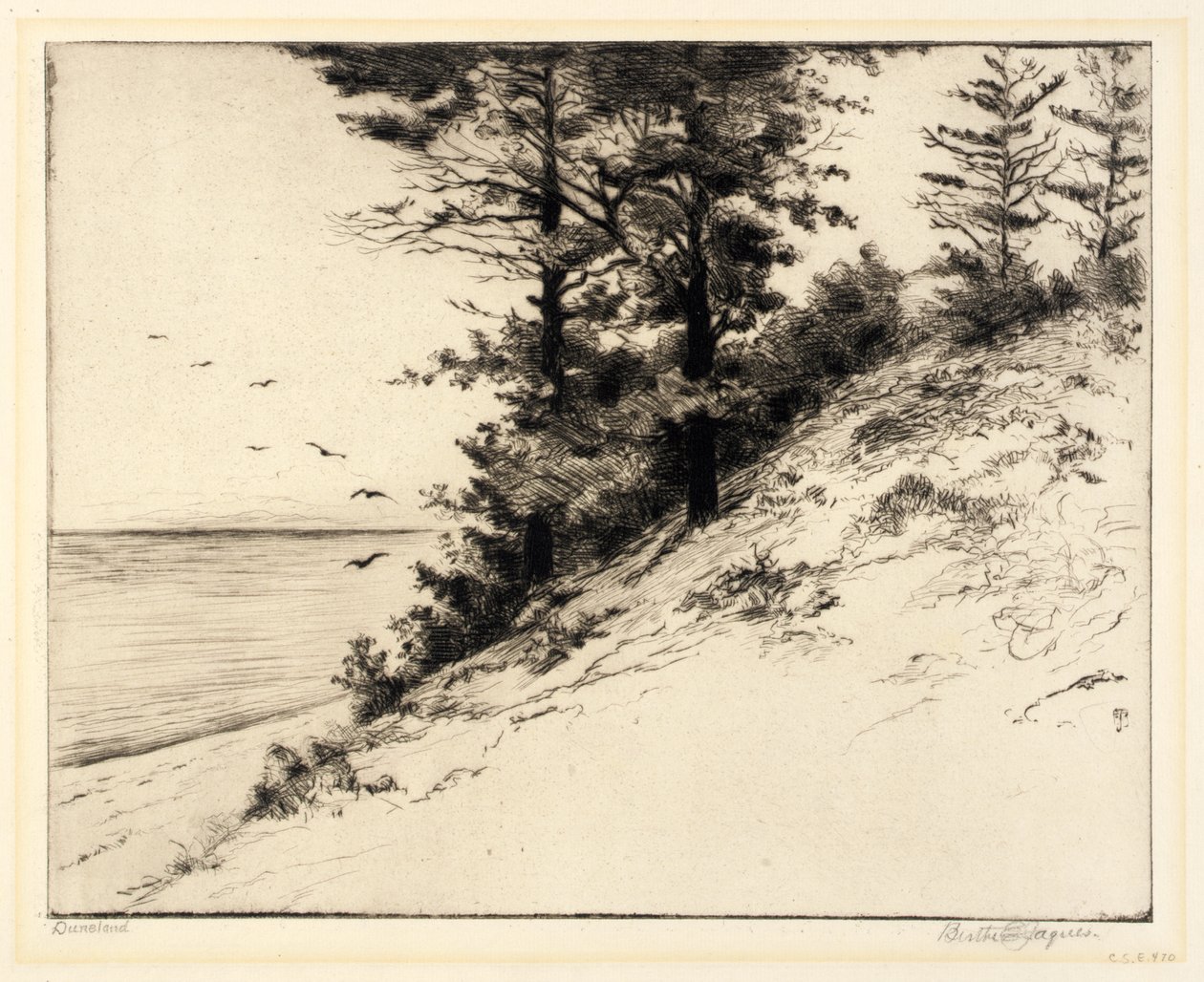 Duneland av Bertha E. Jaques