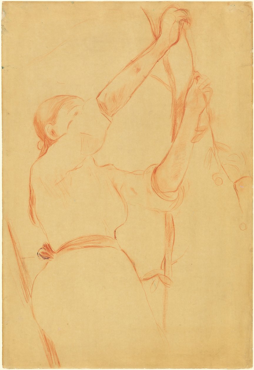 Flicka som plockar körsbär av Berthe Morisot
