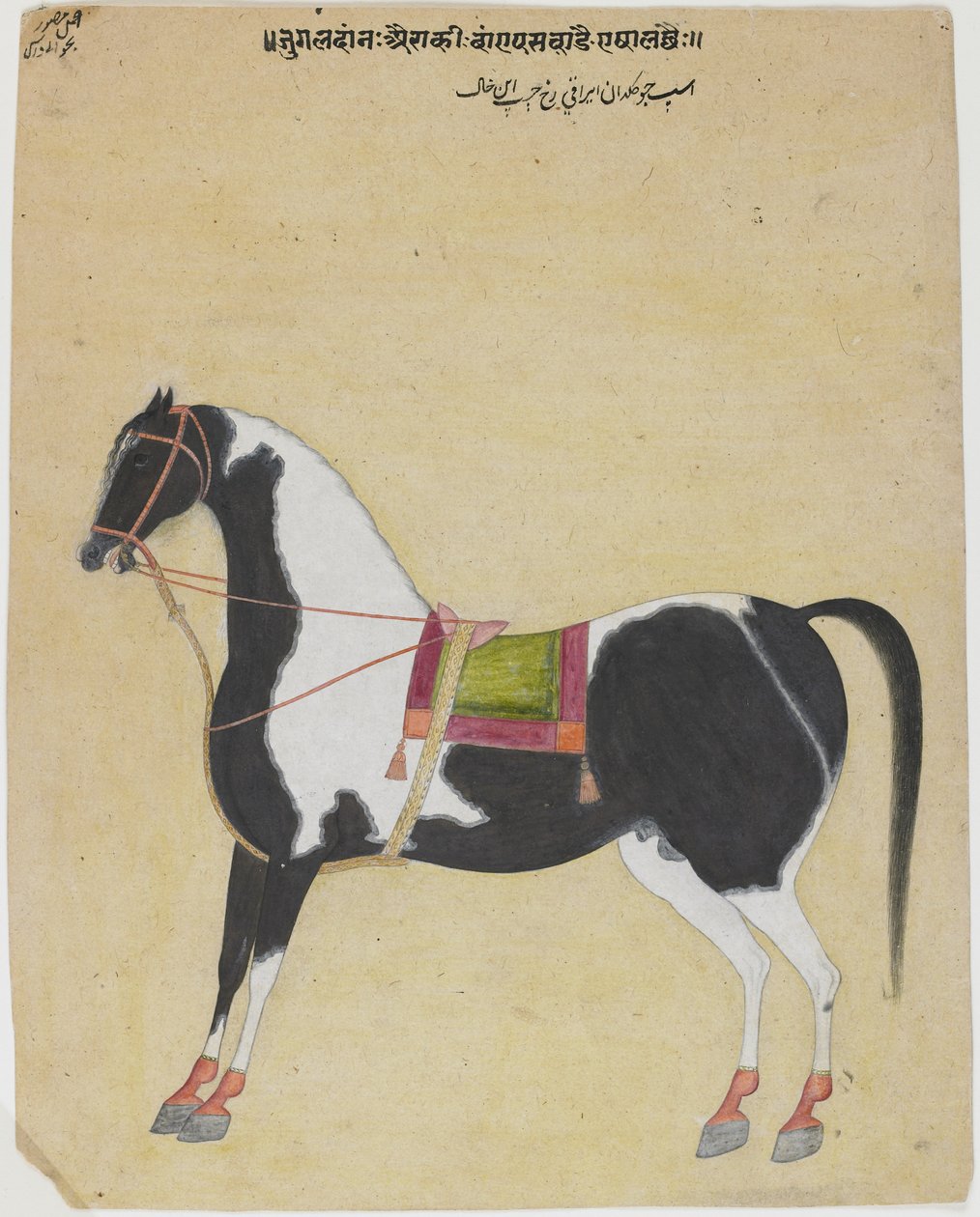 Hingsten Jukaldan Ayragi, ca 1730 (ogenomskinlig wc på papper) av Bhavani Das