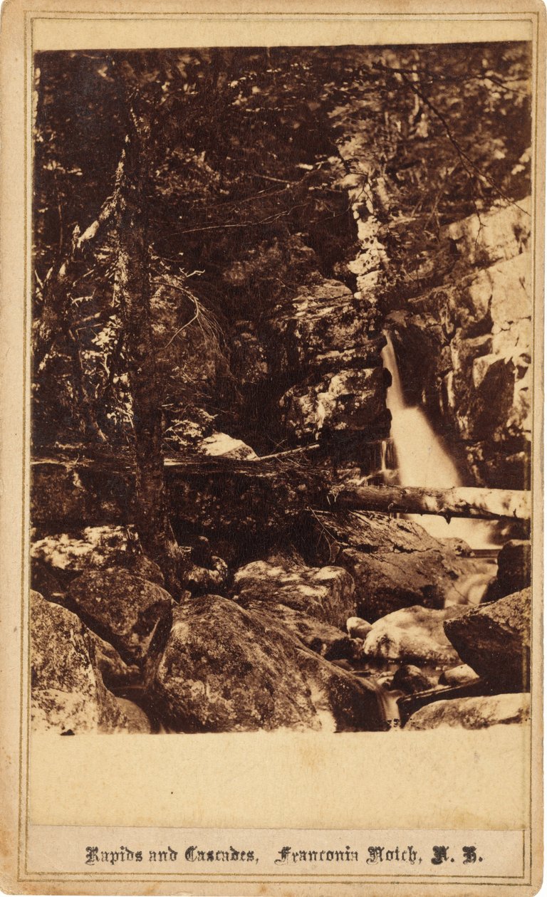 Rapids and Cascades, Franconia Notch, New Hampshire av Bierstadt Brothers
