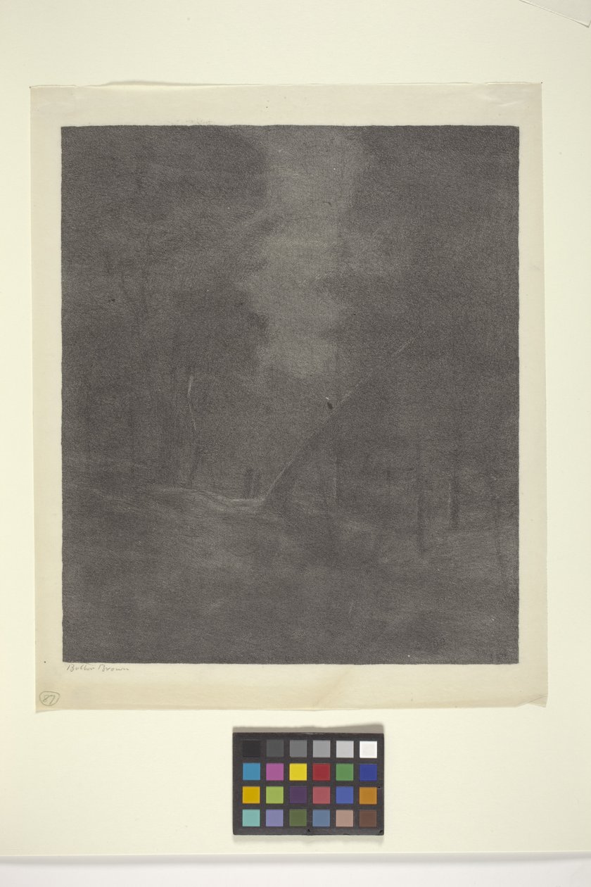 Moonlight Woods (bläck på papper) av Bolton Coit Brown