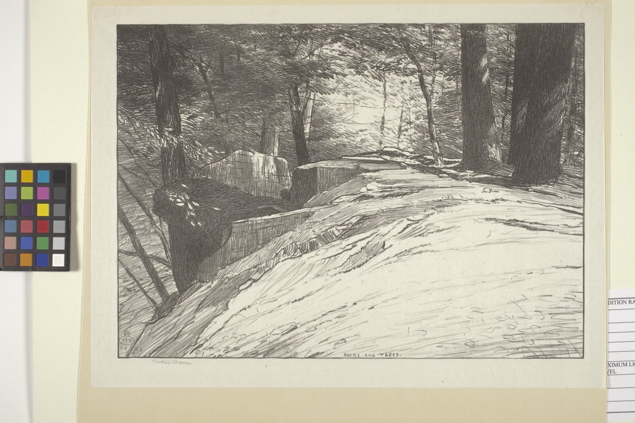 Rocks And Trees (bläck på papper) av Bolton Coit Brown