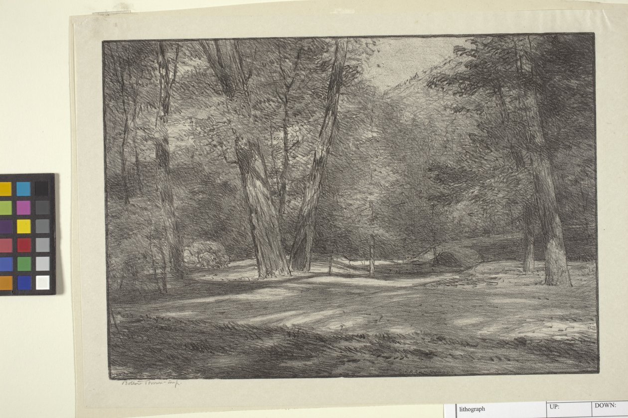 Sierra Woods (bläck på papper) av Bolton Coit Brown