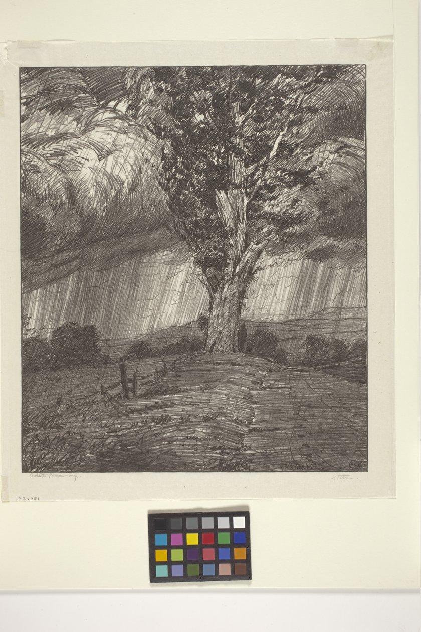 Storm (bläck på papper) av Bolton Coit Brown