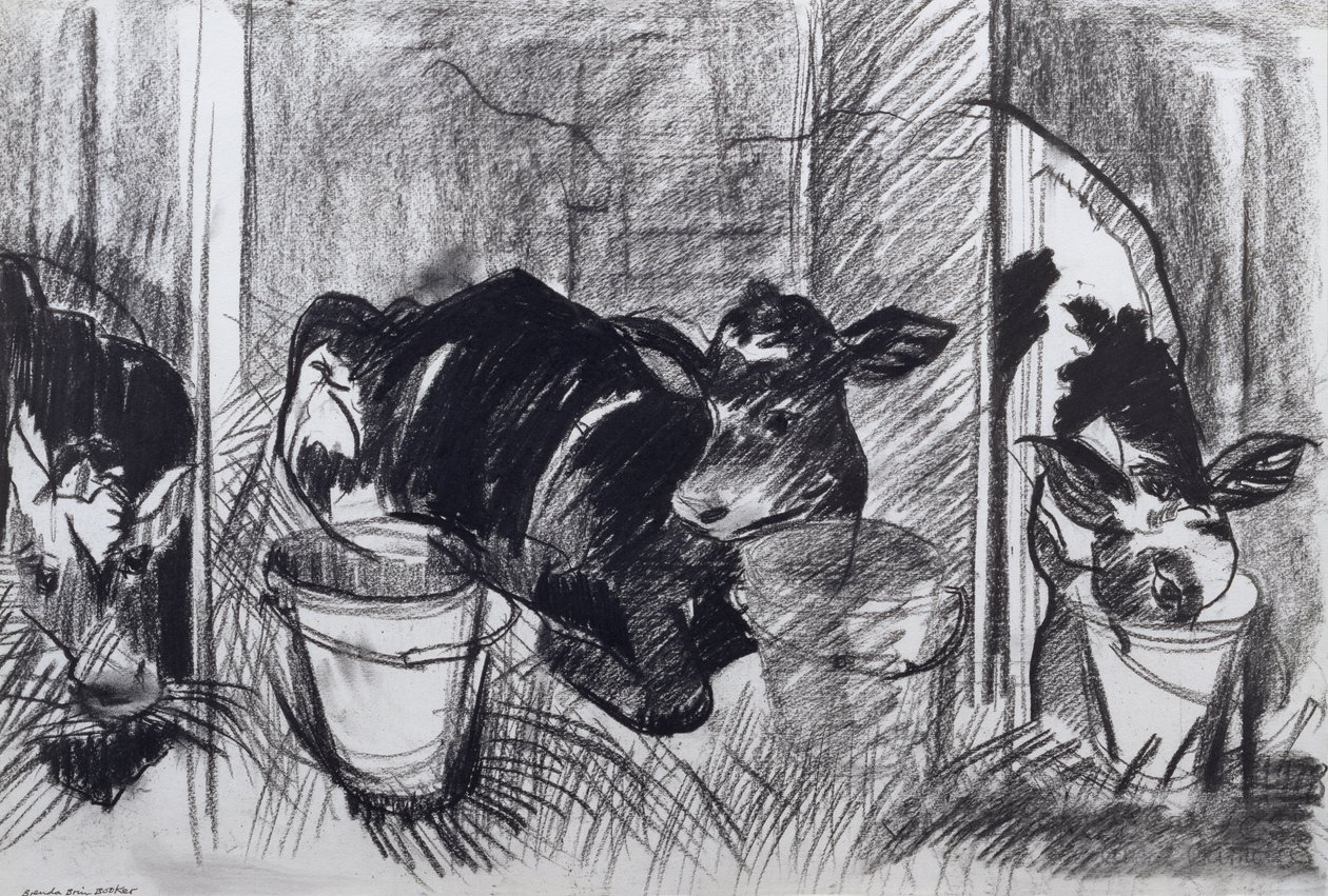 Kalvar (kol på papper) av Brenda Brin Booker