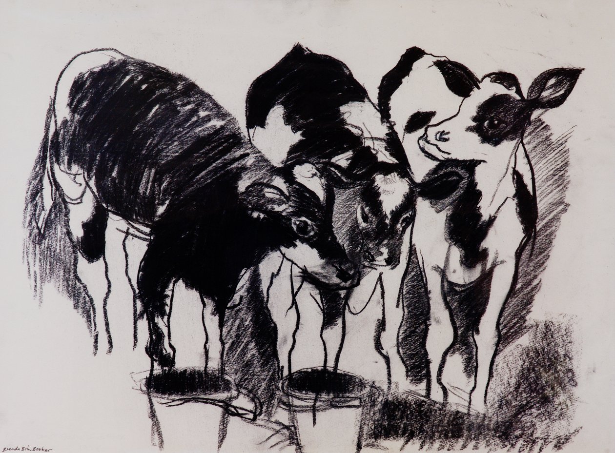 The New Calves (kol på papper) av Brenda Brin Booker