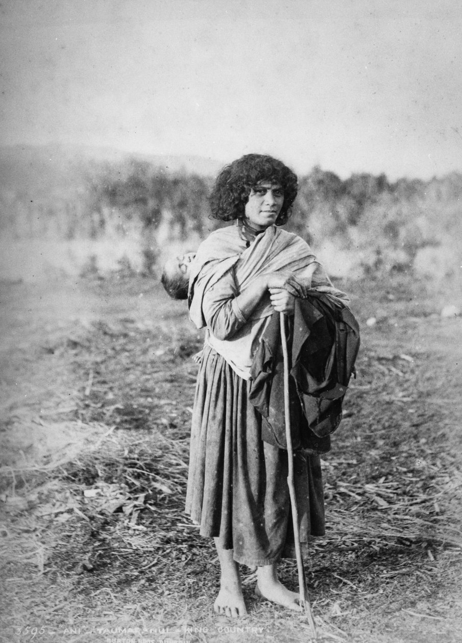 Ani - Taumaranui, King Country, 1885 av Burton Brothers Studio