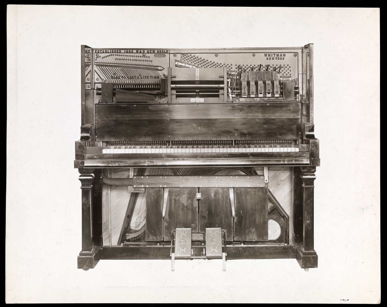 A player piano, 1915-16 (silvergelatintryck) av Byron Company