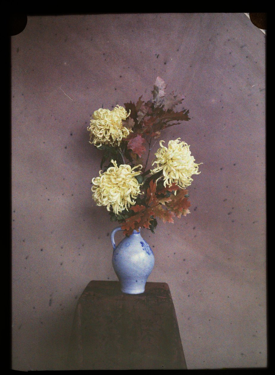Blommor (astrar) i en vas av C.W. Immink