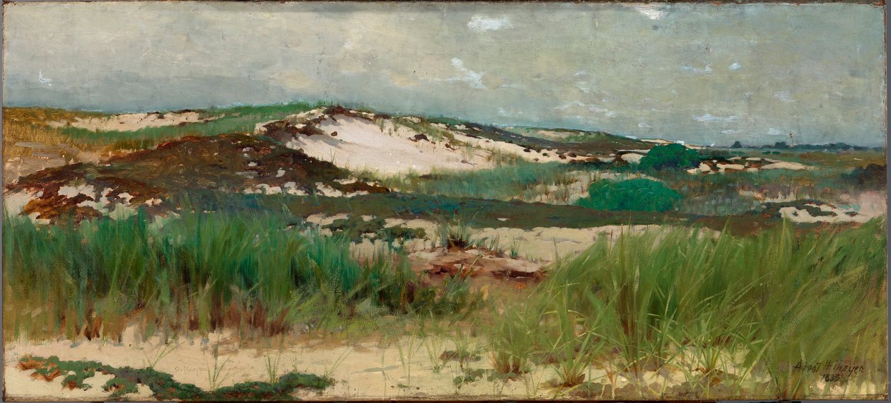 Nantucket Sand Dune av C. Morgan McIlhenney