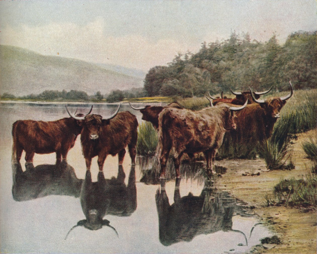 Skottland, ca 1930-talet av C. Reid
