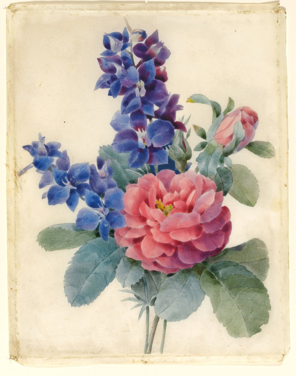 Blommor, rosor och riddarsporre (wc & bodycolour på vellum) av Camile de Chanteraine