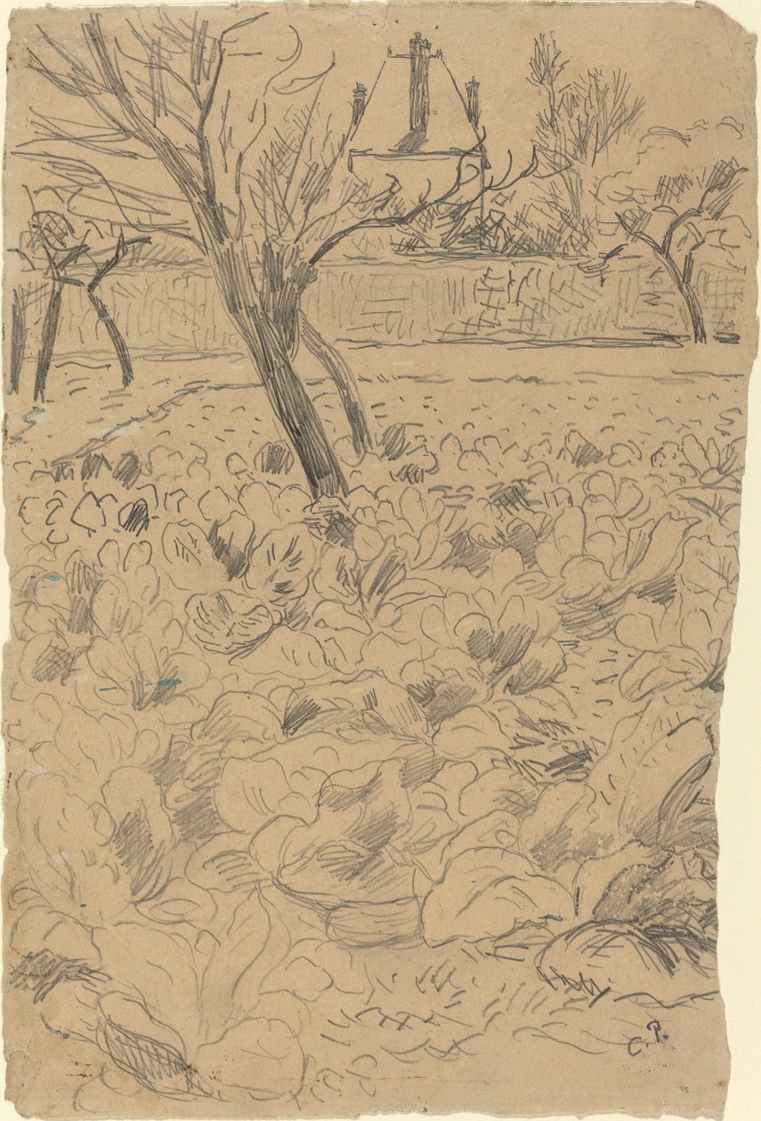 Kålfältet, ca. 1880. av Camille Pissarro