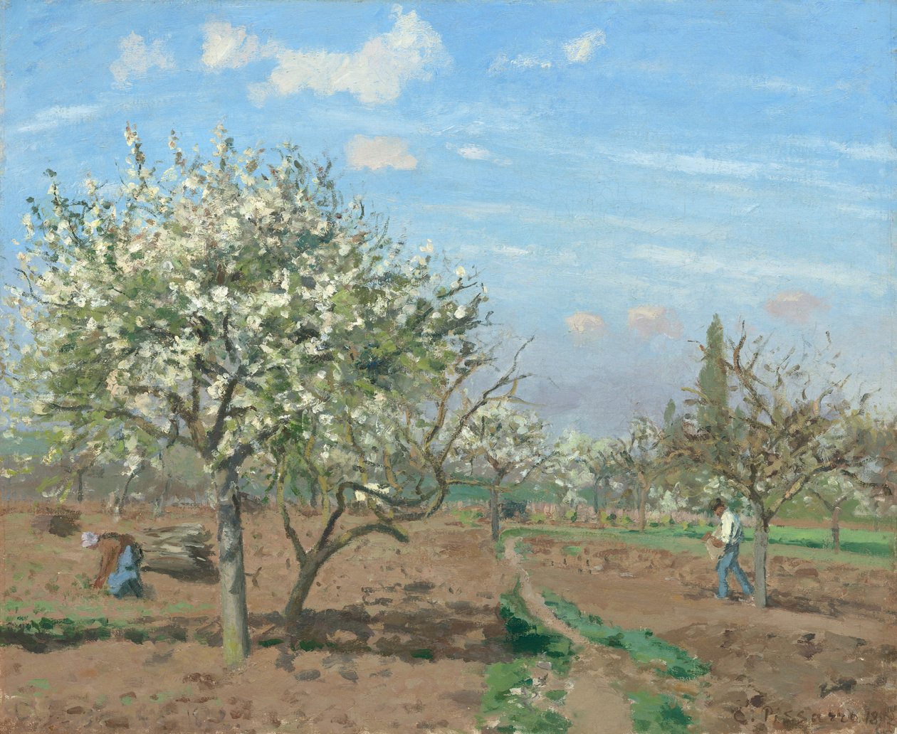 Orchard in Bloom, Louveciennes av Camille Pissarro