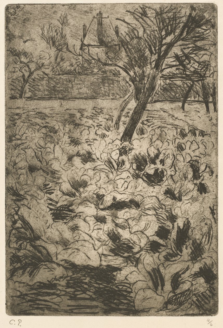 Kålfältet av Camille Pissarro