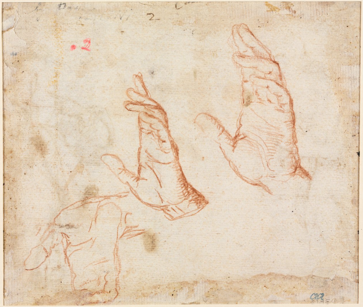 Study of Hands (verso) av Camillo Procaccini
