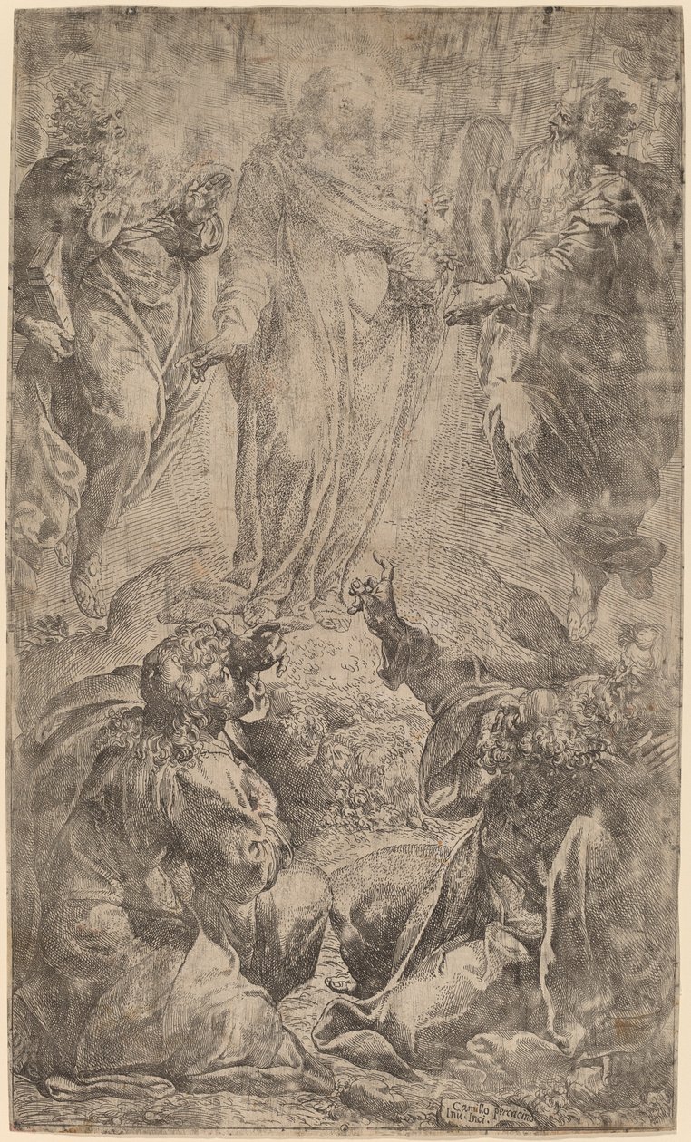 Förvandlingen av Camillo Procaccini