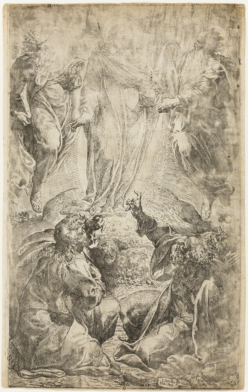 Förvandlingen av Camillo Procaccini