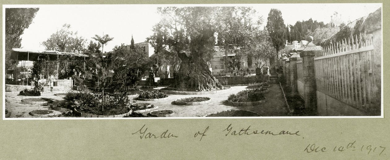 Getsemane trädgård, 14 december 1917 av Capt. Arthur Rhodes