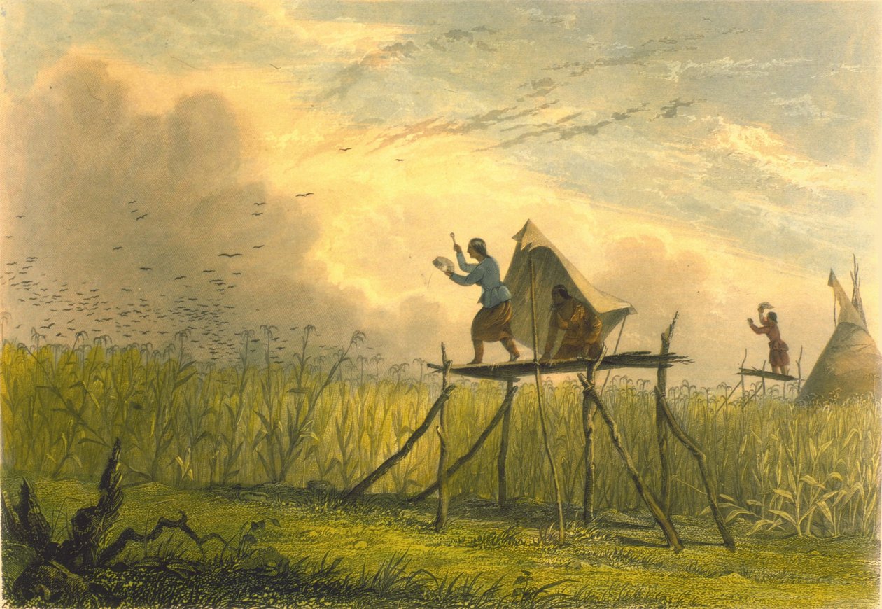 Vaktar majsfälten, 1853 av Captain Seth Eastman